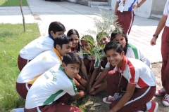 International Day Of Peace Celebrated